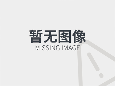 第138章 麒麟兽